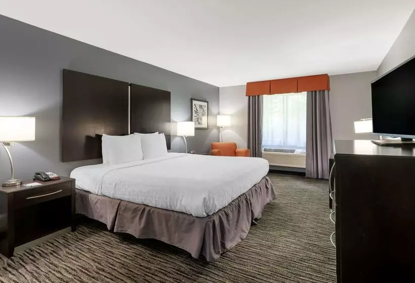 酒店 Best Western University Inn At Valparaiso