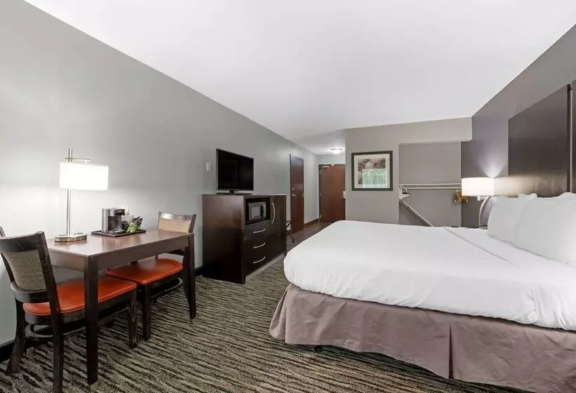 酒店 Best Western University Inn At Valparaiso