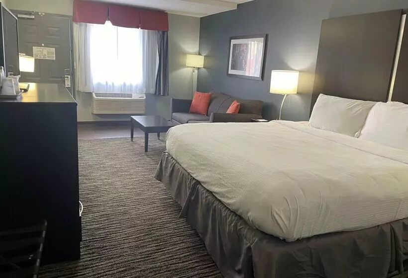 酒店 Best Western University Inn At Valparaiso