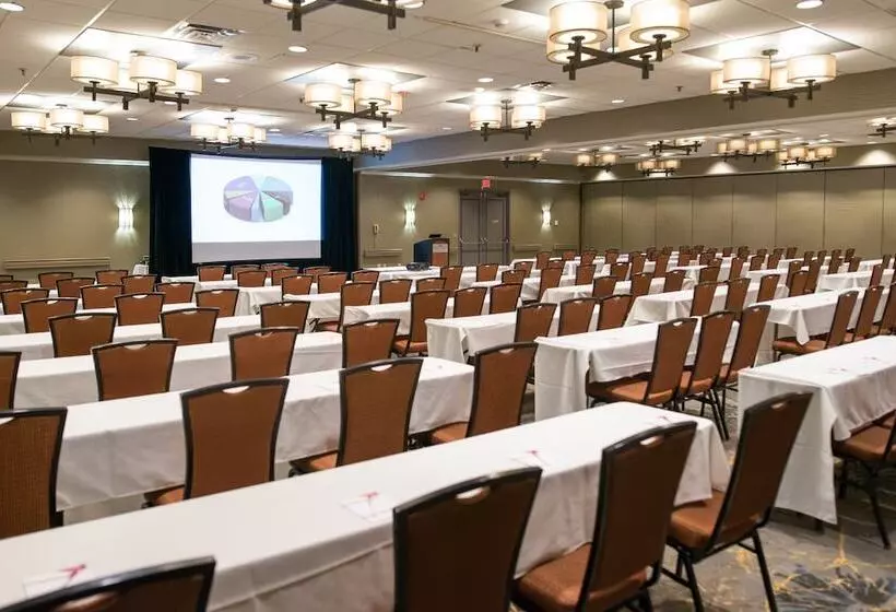 Отель Crowne Plaza Suites Msp Airport   Mall Of America, An Ihg