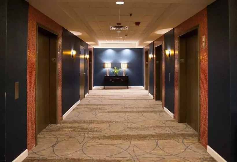 Отель Crowne Plaza Suites Msp Airport   Mall Of America, An Ihg