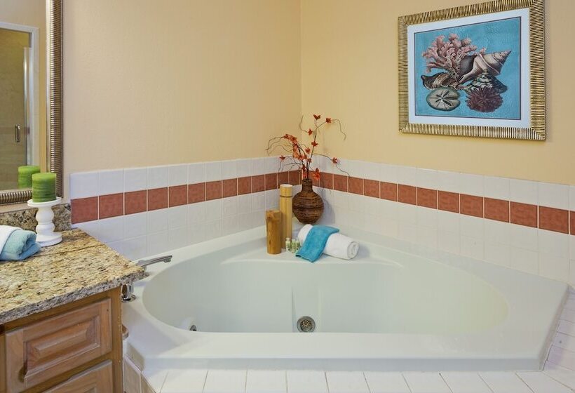 ホテル Holiday Inn & Suites Clearwater Beach S Harbourside