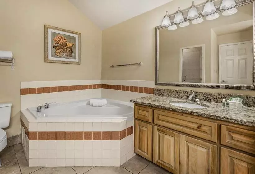 فندق Holiday Inn & Suites Clearwater Beach S Harbourside