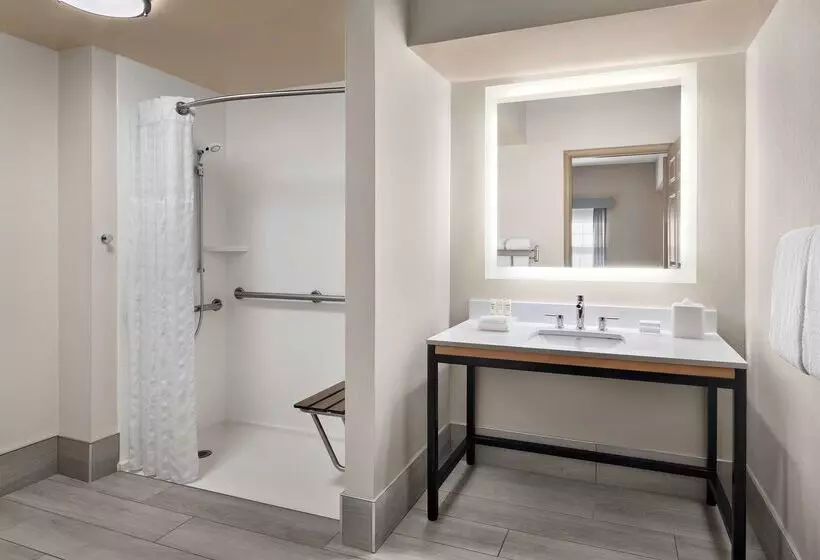 Отель Homewood Suites By Hilton Baltimorebwi Airport