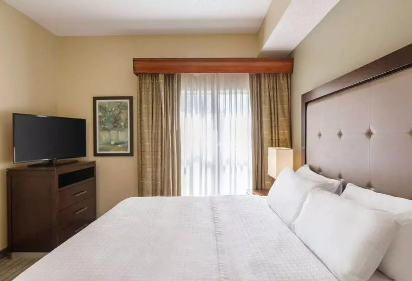 Отель Homewood Suites By Hilton St. Petersburg Clearwater