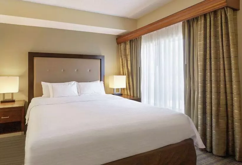 Отель Homewood Suites By Hilton St. Petersburg Clearwater