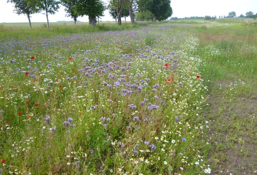 Landhaus 4 Jahreszeiten