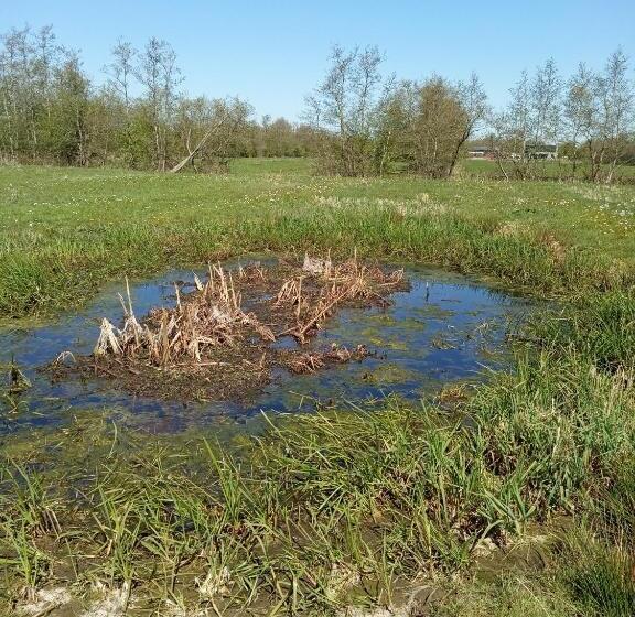 Bed and Breakfast Bij Maus