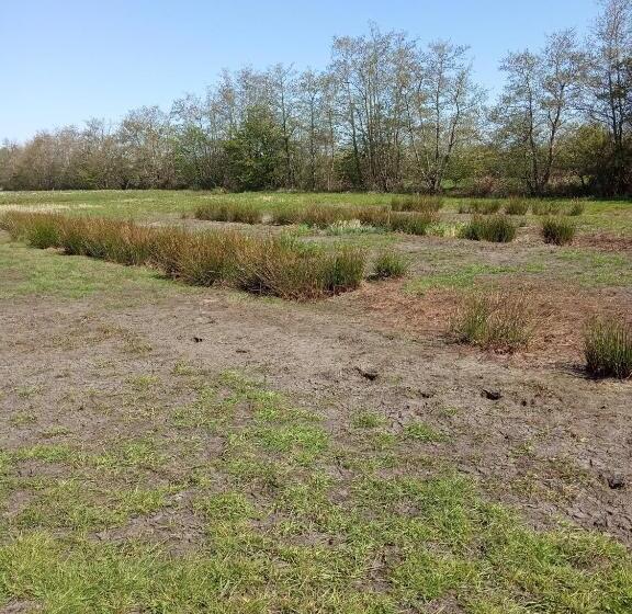 Bed and Breakfast Bij Maus