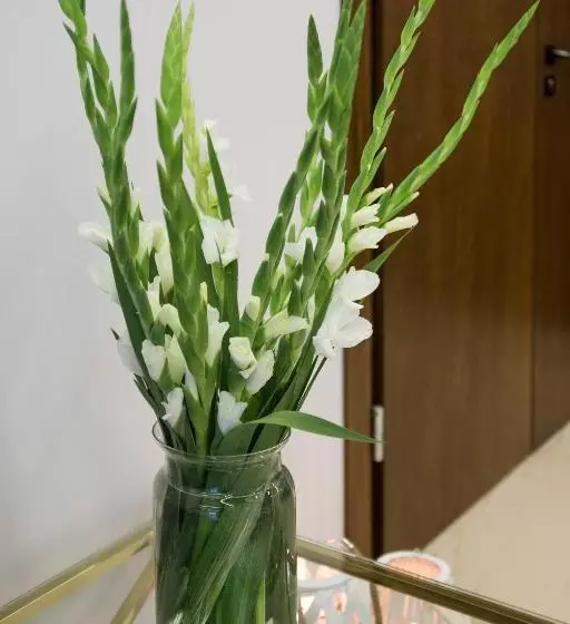 ホテル Stella Resort & Spa