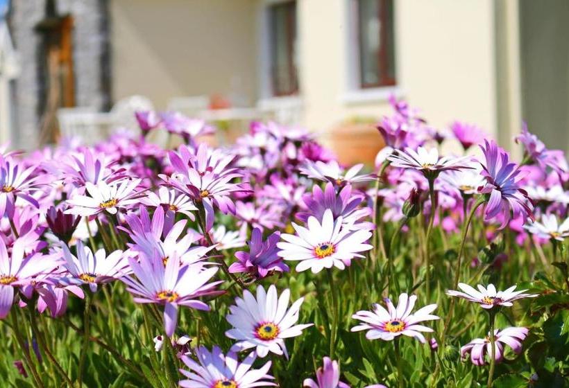 Pensionat Daly S House