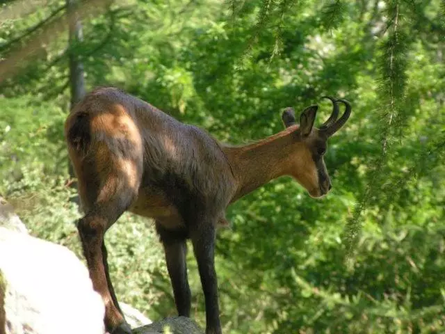 Aamiaismajoitus (B&B) La Petite étoile D Hôtes En Mercantour
