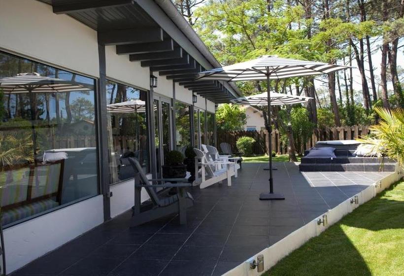 ベッドアンドブレックファースト Le Comptoir Des Sables