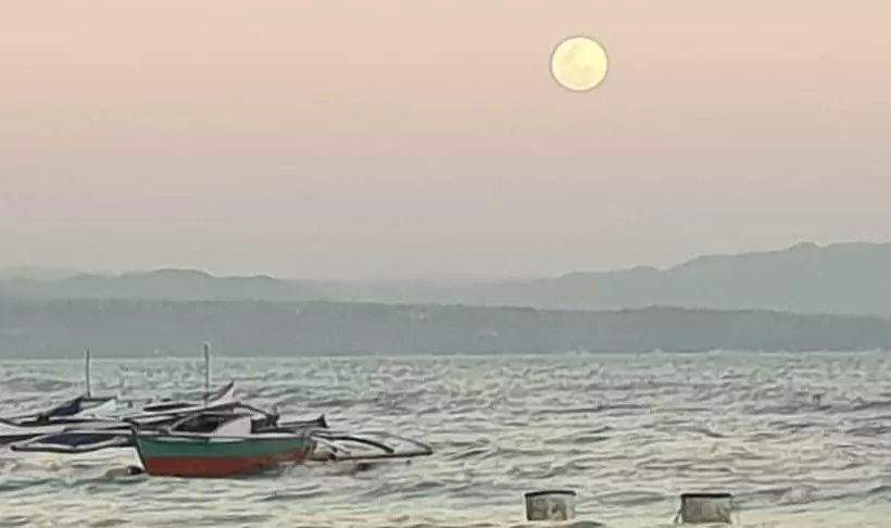 ホテル Alona Beach Side Inn