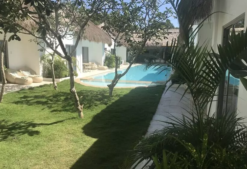 ホテル Alona Beach Side Inn