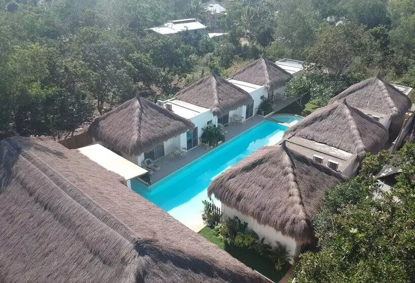 ホテル Alona Beach Side Inn