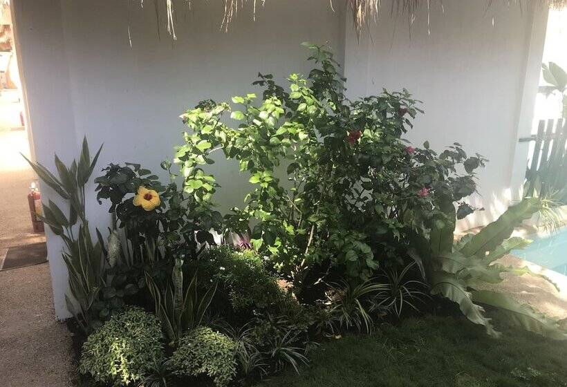 Hotel Alona Beach Side Inn