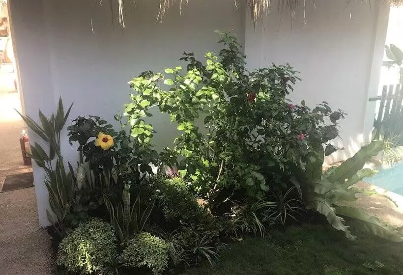 ホテル Alona Beach Side Inn