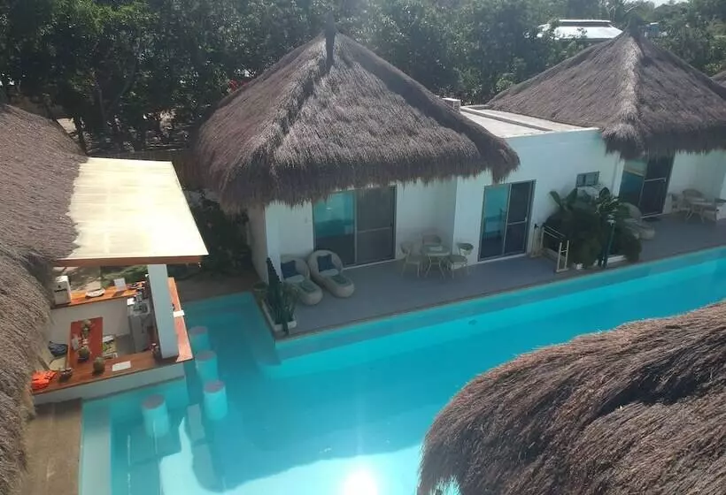 ホテル Alona Beach Side Inn