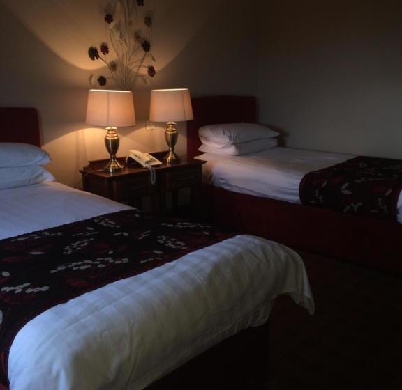 هتل The Viking House