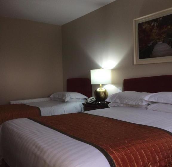 هتل The Viking House