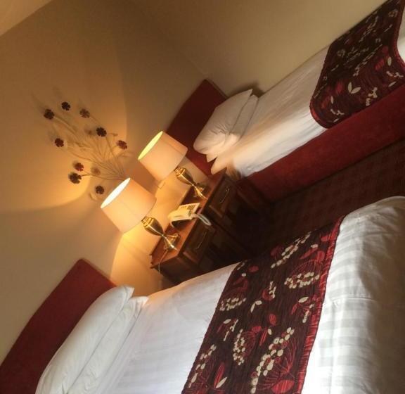 هتل The Viking House