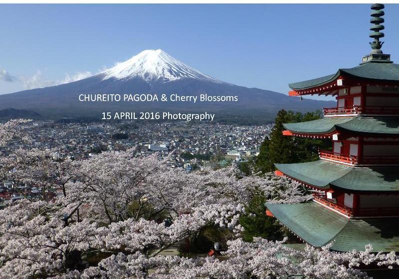 Hotel Kawaguchiko Lakeside