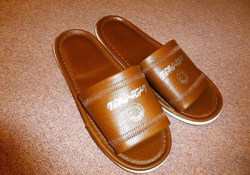 Hotel Kawaguchiko Lakeside