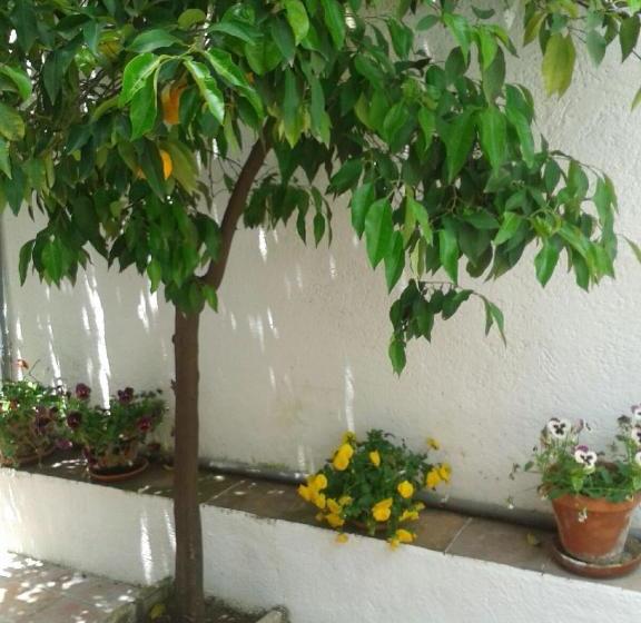 La Casita Del Corralon