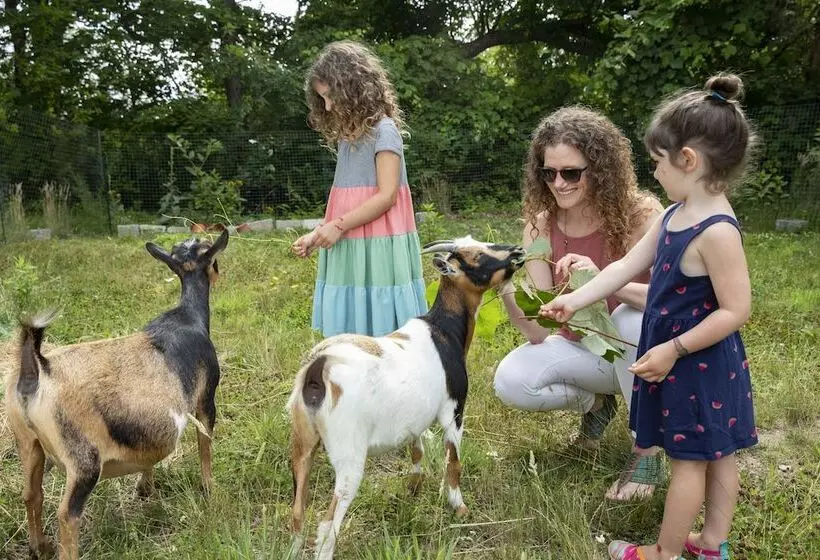 Aamiaismajoitus (B&B) Sesuit Harbor House