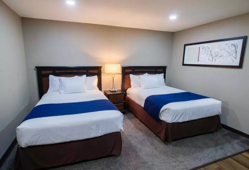 Motel Alexander