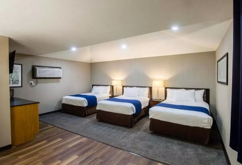 Motel Alexander