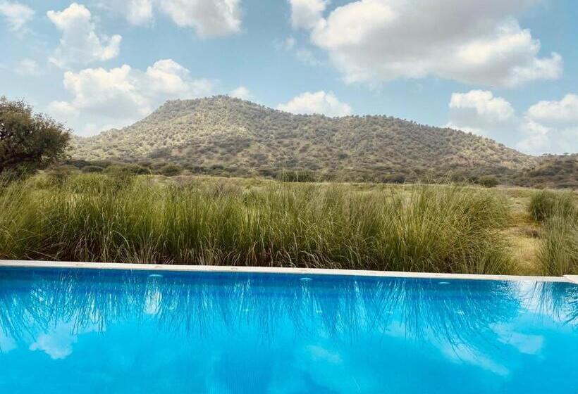 בית מלון כפרי Camp Land S End