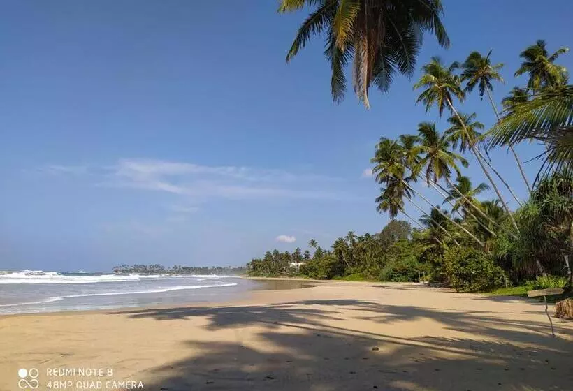 هتل Voulez Vous, Managed By Dikwella Beach