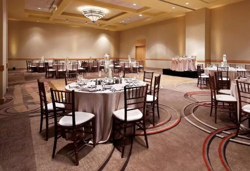 ホテル Hyatt Centric Chicago Ohare