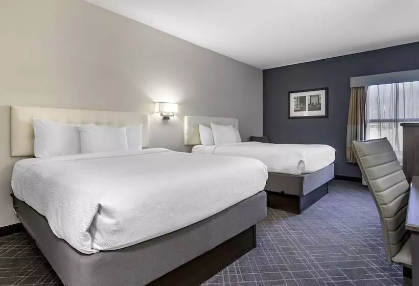 فندق Quality Inn