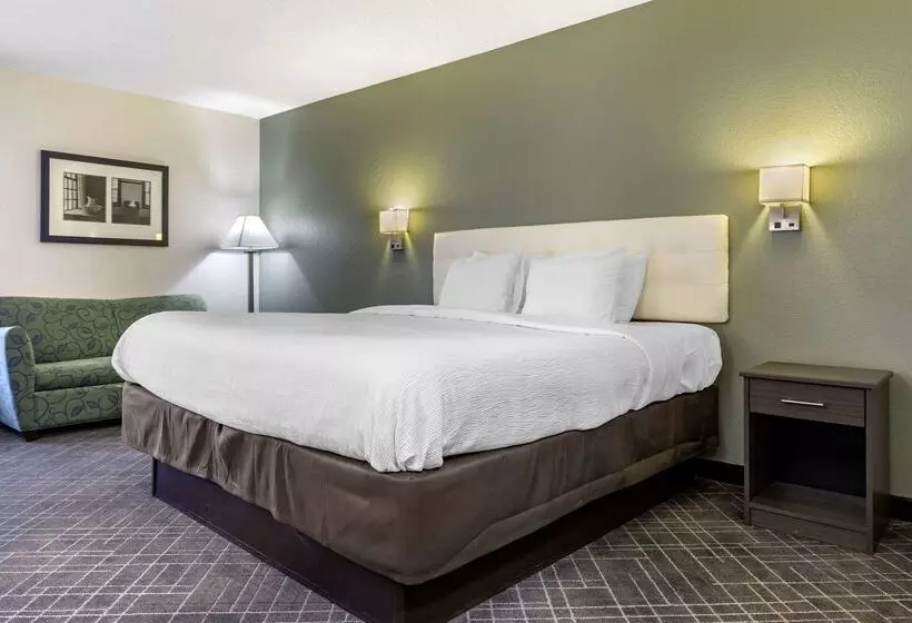 فندق Quality Inn