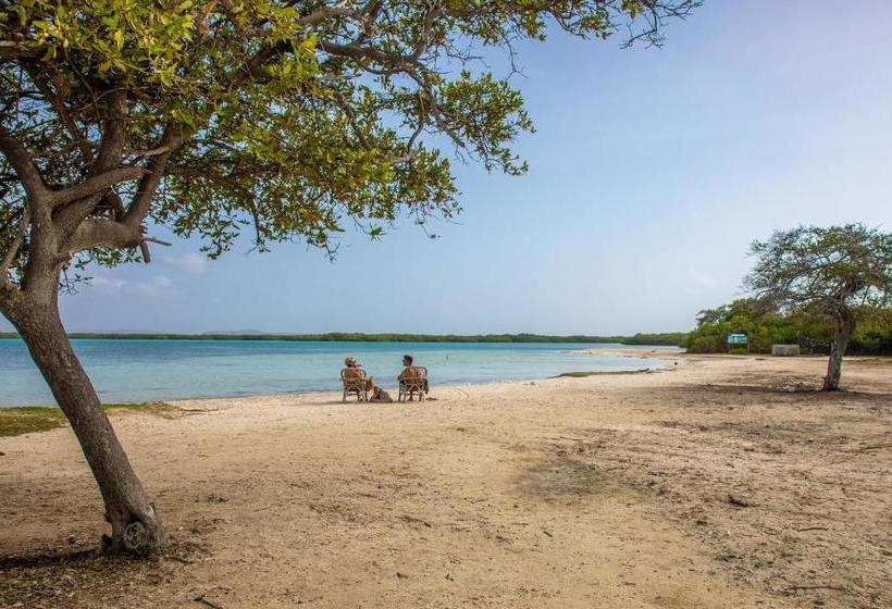 Senses Boutique Hotel & Apartments