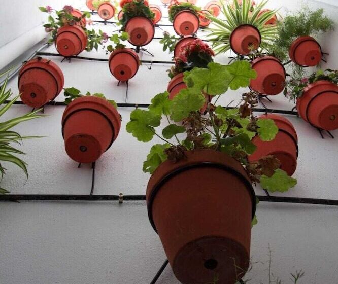 酒店 Cubo S Hostal La Plaza Family With Breakfast