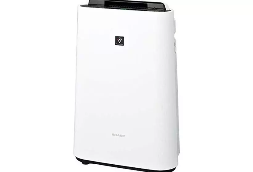 Hotelli Moriyama Art