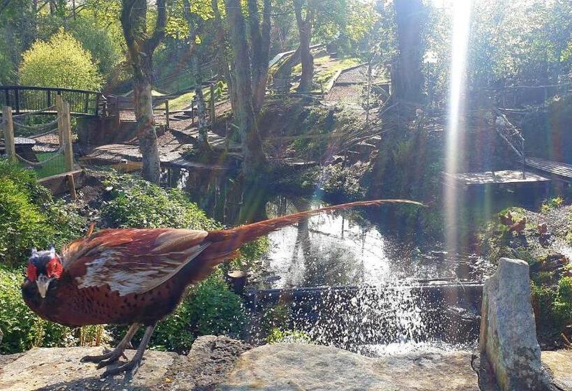 ホテル The Little Mill Inn