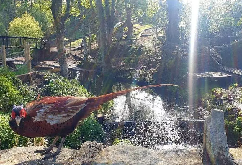 Hotelli The Little Mill Inn