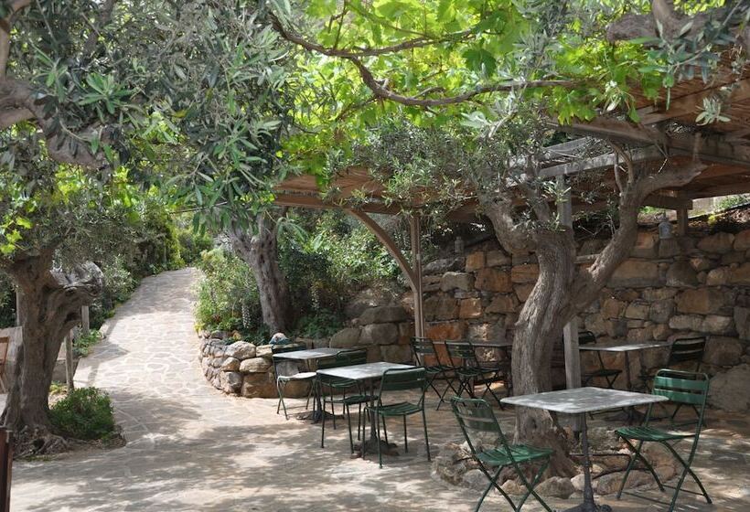 בית מלון כפרי Marettimo Residence