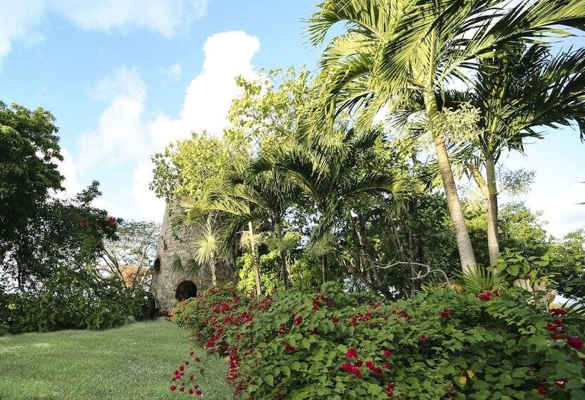 هتل The Great House Antigua