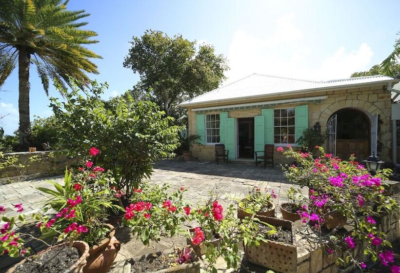 هتل The Great House Antigua