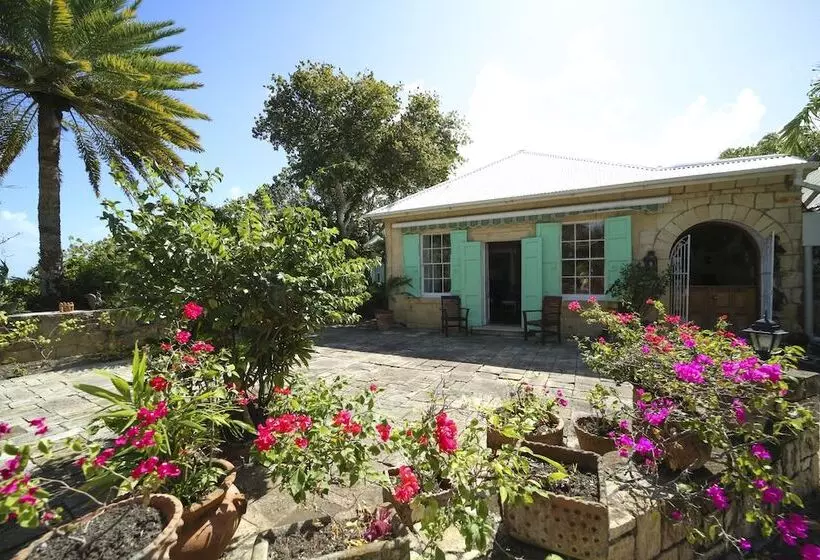 هتل The Great House Antigua