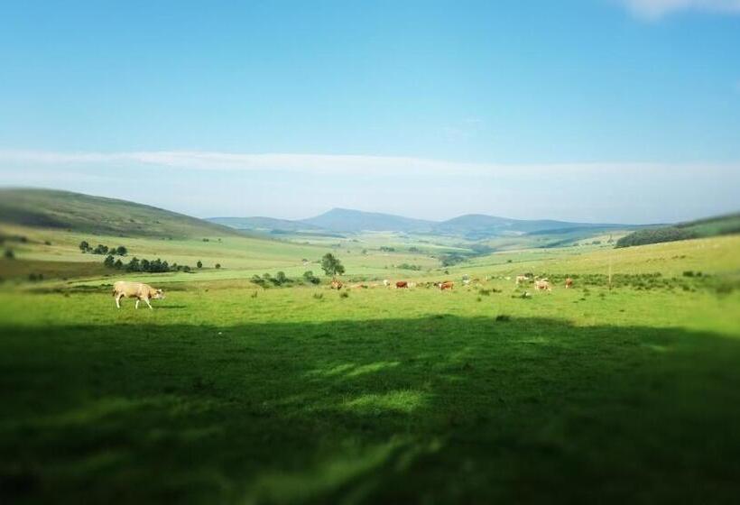 Little Robin Bed And Breakfast
