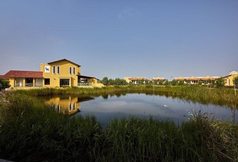 هتل Blackbuck Safari Lodge Velavadar