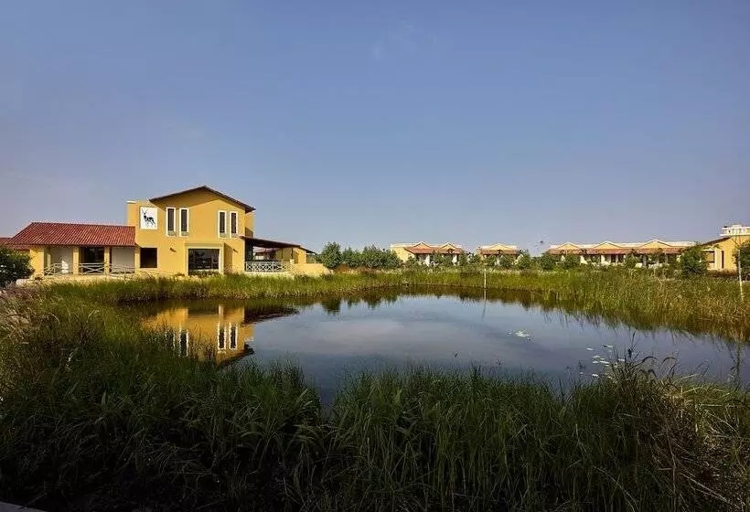ホテル Blackbuck Safari Lodge Velavadar