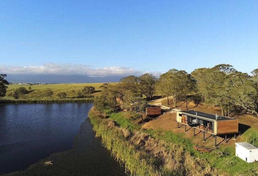 בית מלון כפרי Buff & Fellow Eco Cabins